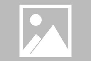 摩根体育官方网站- 科隆俱乐部启动扩建计划，新球场容量将达五万